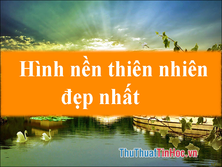 500000 ảnh đẹp nhất về Hình Nền Miễn Phí  Tải xuống miễn phí 100  Ảnh  có sẵn của Pexels