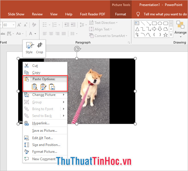 Tổng hợp 5000 ảnh động tuyển chọn cực đẹp cho Powerpoint  CTU  Diễn đàn  Sinh viên Đại học Cần Thơ