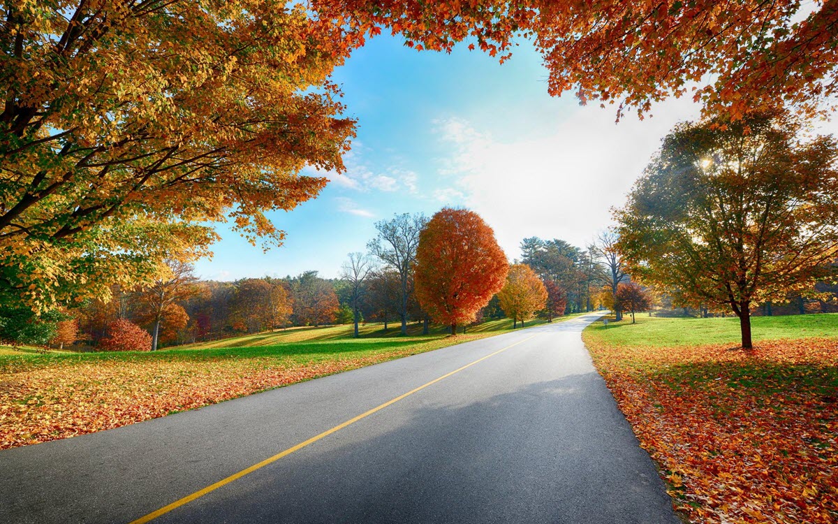 Hình ảnh con đường mùa thu đẹp