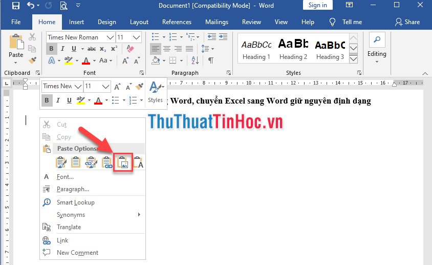 Chọn Paste as Picture