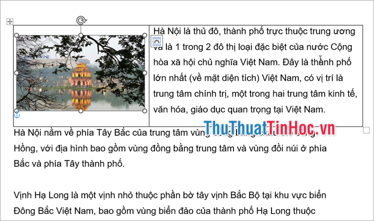 Chỉnh kích thước ảnh, kích thước các cột trong bảng phù hợp