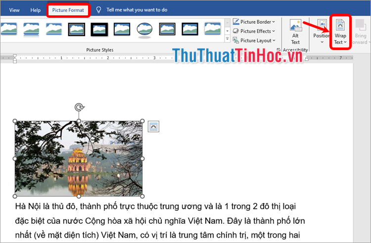 Chọn hình ảnh, trong thẻ Format rồi nhấn Wrap Text