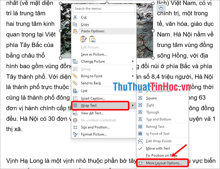 Chọn Wrap Text → More Layout Options