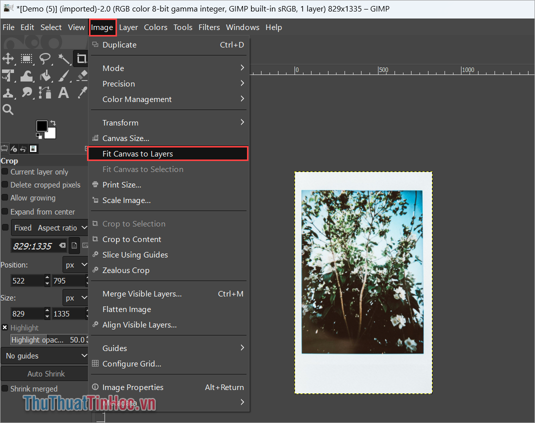 Chọn Image → Fit Canvas to Layers để thực hiện phóng to