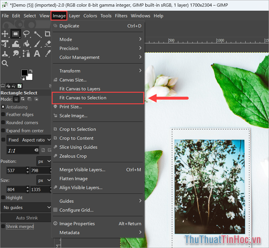 Chọn Image → Fit Canvas to Selection để cắt hình ảnh