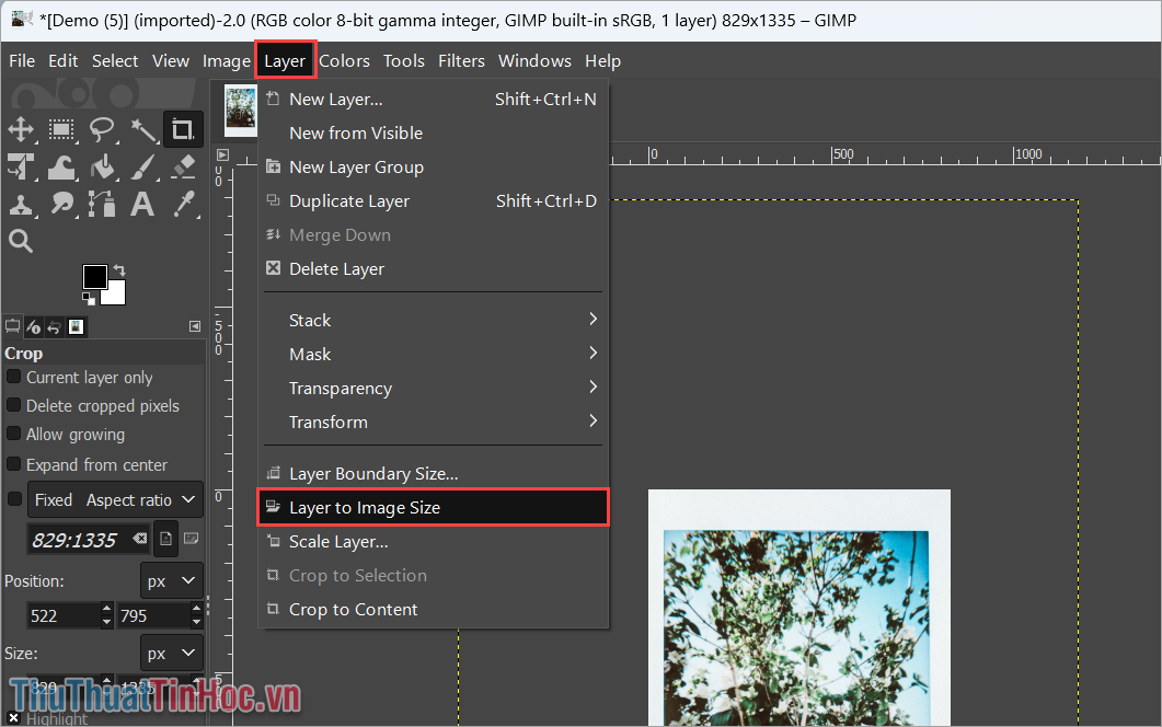 Chọn Layer → Layer to Image Size để tiến hành thu nhỏ