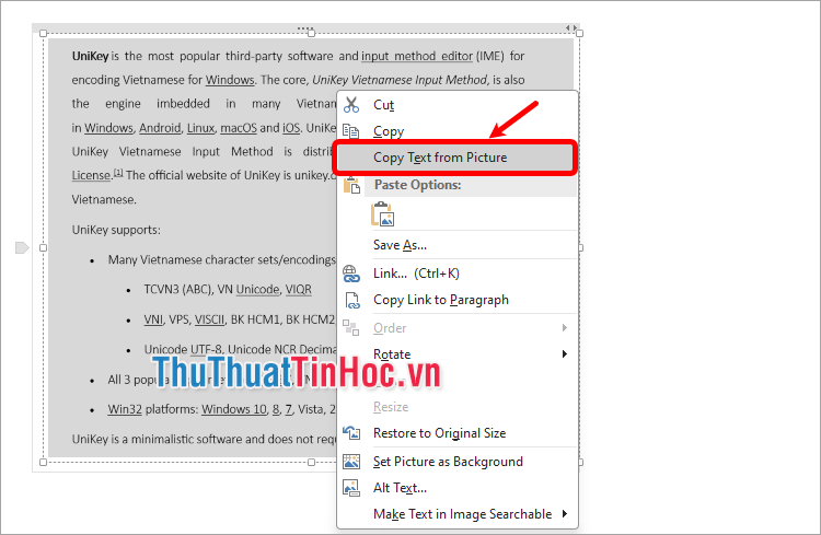Nhấn chuột phải và chọn Copy Text from Picture