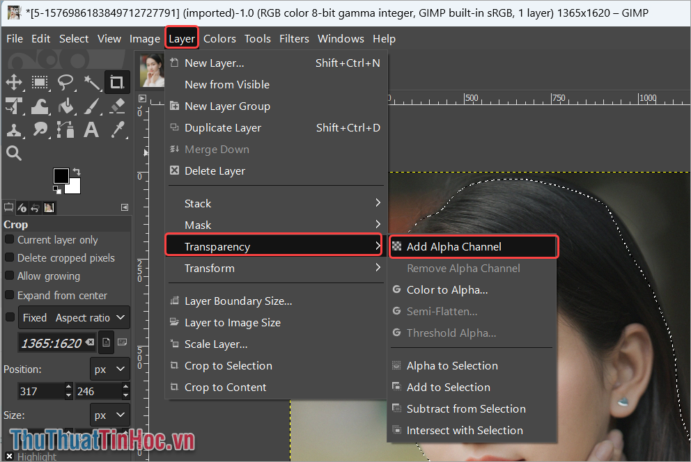 Nhấn Layer → Transparency → Add Alpha Channel