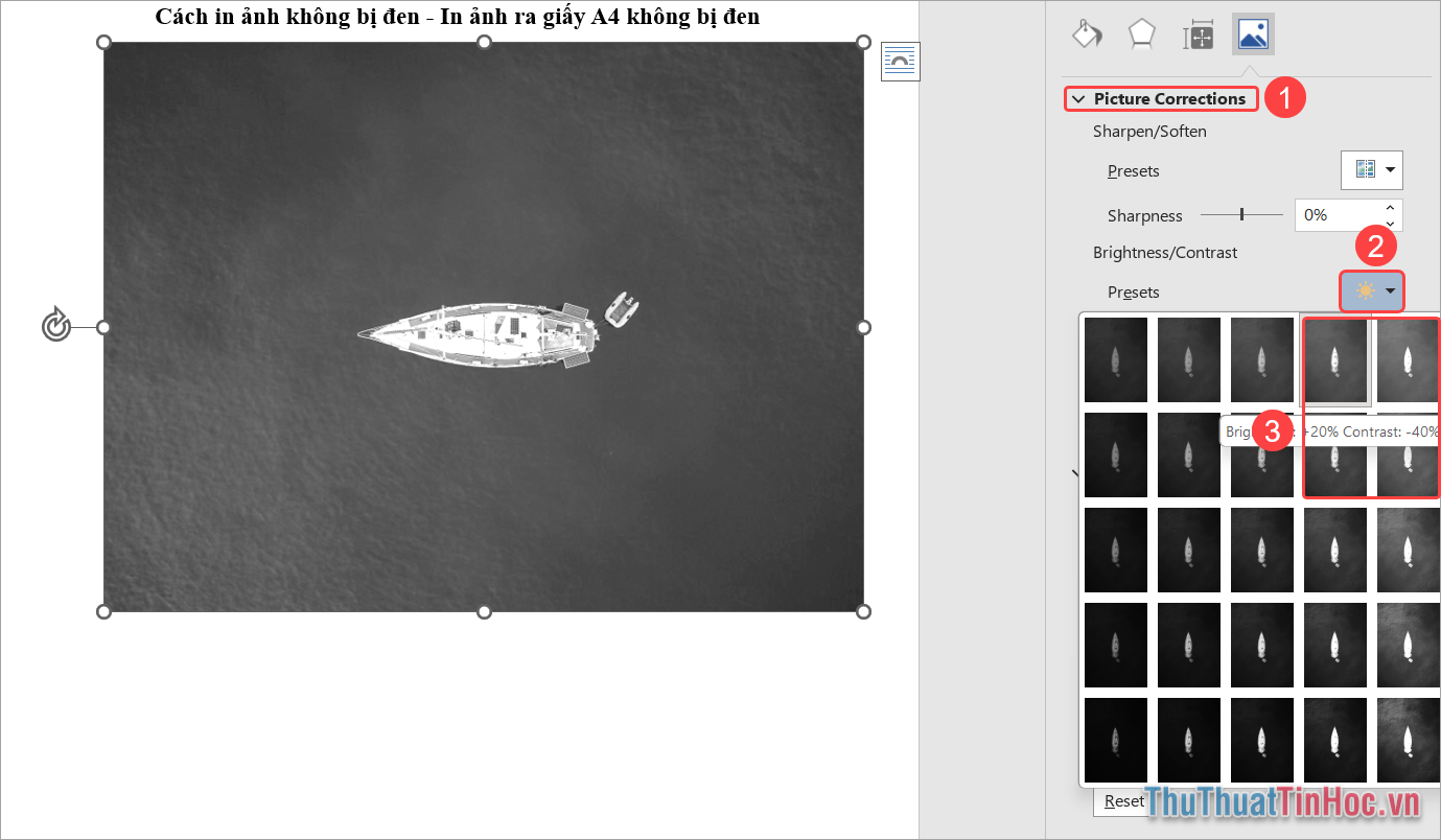 Picture Corrections (1) → Preset (Brightness Contrast) (2) → Chọn 1 trong 4 màu được khoanh đỏ (3)