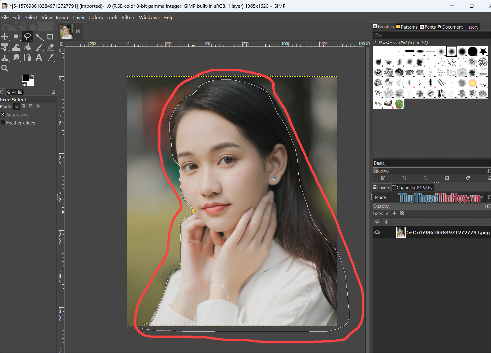 Sử dụng chuột và tạo một vùng chọn xung quanh chủ thể cần tách