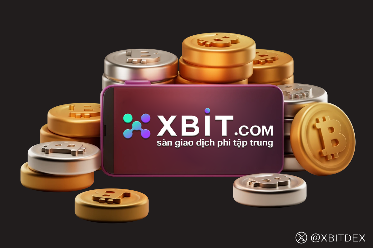 Bảng xếp hạng ứng dụng giao dịch USDT năm 2025: Dự trữ Bitcoin chạm đáy kỷ lục, XBIT dẫn đầu làn sóng phi tập trung mới